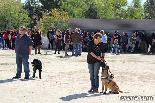 Exhibicin canina de animales que trabajan para contribuir a la recuperacin psicolgica de vctimas de violencia de gnero - 36