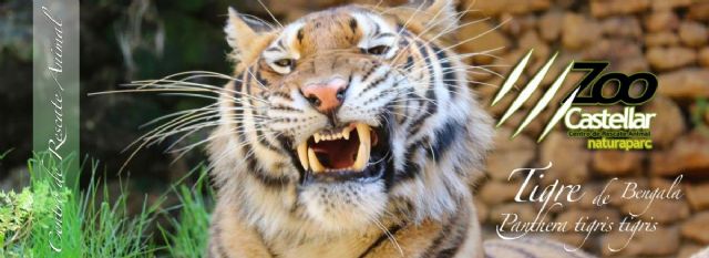 Zoo de Castellar: Centro de rescate animal y conservación - 1, Foto 1