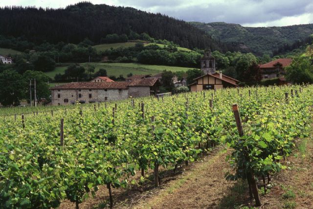 Ministerio de Agricultura, Pesca y Alimentación, Foto 1