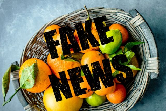 El CoCo alerta sobre los bulos de alimentación en la prevención del coronavirus - 1, Foto 1