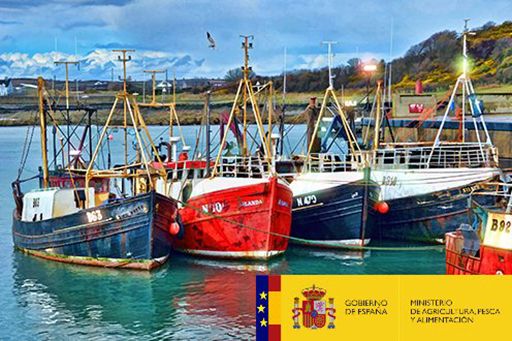 Medidas sanitarias y de seguridad a adoptar en los buques pesqueros para hacer frente al COVID-19 - 1, Foto 1