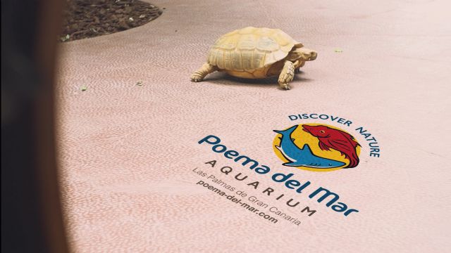 La vida continúa, a puerta cerrada, en Poema del Mar - 1, Foto 1