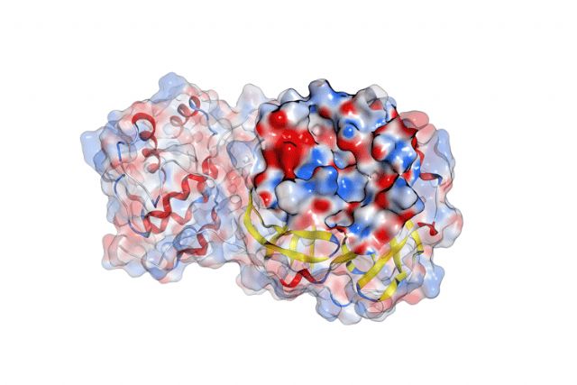IQS desarrolla un potencial inhibidor de proteasa para combatir el COVID-19 - 1, Foto 1
