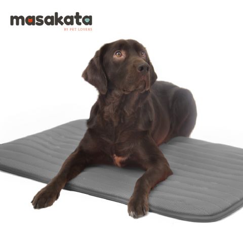 Nace una nueva marca de camas terapéuticas para mascotas: Masakata - 1, Foto 1