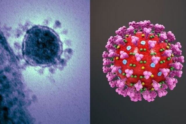 CoNVaT diseñará un nuevo sistema de diagnóstico para COVID-19 con las mejores tecnologías actuales - 1, Foto 1