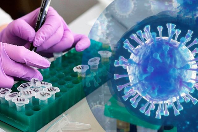 El Gobierno trabaja con centros de investigación y universidades para que puedan colaborar con las CCAA en el diagnóstico del COVID-19 de forma ordenada y segura - 1, Foto 1