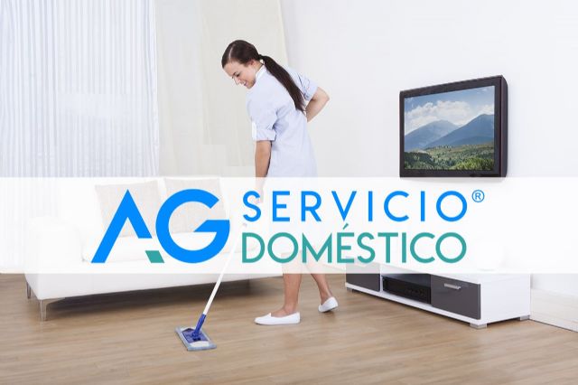 Servicio Doméstico AG, cómo funciona una empresa de servicios domésticos - 1, Foto 1