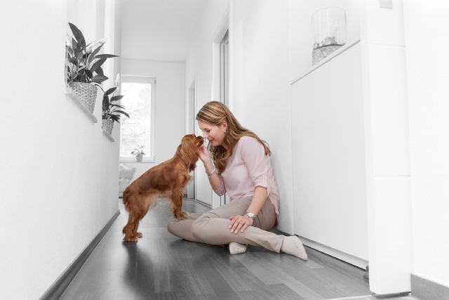 #JuntosENCASAlaVidaEsMejor de Purina, la iniciativa que vela por las mascotas y sus dueños - 1, Foto 1