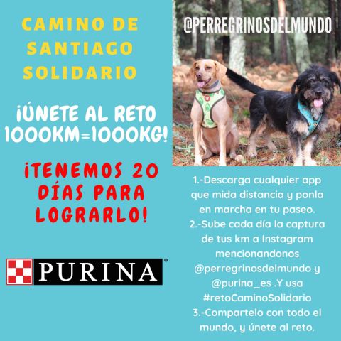 Purina y PeRRegrinos del Mundo lanzan la iniciativa #retoCaminoSolidario - 1, Foto 1