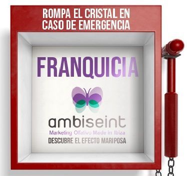 Ambiseint establece un plan de acceso para nuevos franquiciados - 1, Foto 1