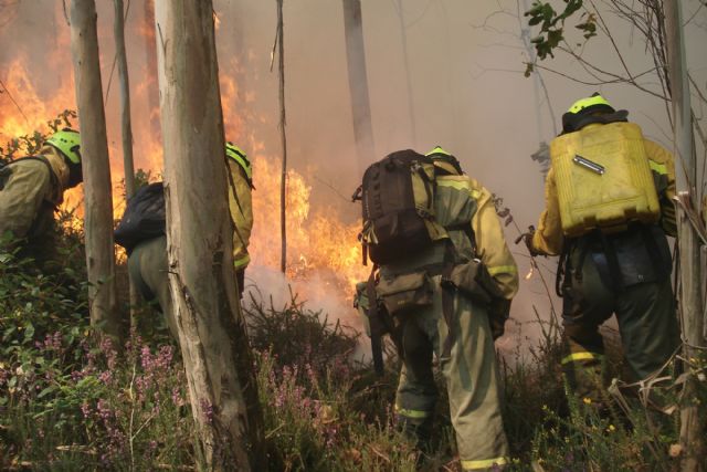 Transición Ecológica y comunidades autónomas abordan el dispositivo de extinción de incendios forestales - 1, Foto 1
