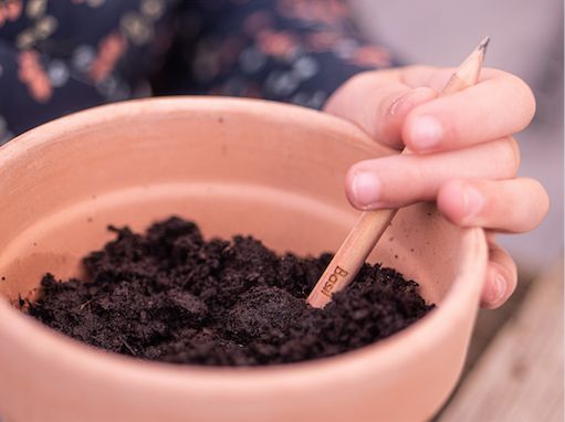 El 8 de junio se celebra el día mundial del Océano con Sprout World luchando contra el plástico - 1, Foto 1