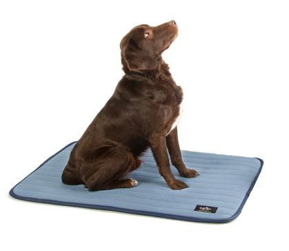 OnlineValles ha desarrollado la web de Masakata - 1, Foto 1