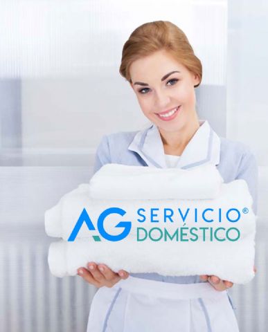 Importancia de los servicios domésticos por Servicio Doméstico AG - 1, Foto 1