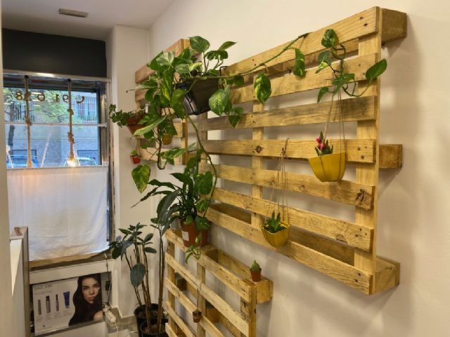 Champús naturales que se pueden encontrar en Hair & Beauty - 1, Foto 1