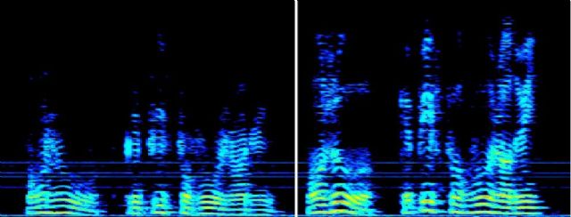 ReSound ayuda a que el uso de mascarillas no dificulte la comunicación de las personas con pérdida auditiva - 1, Foto 1