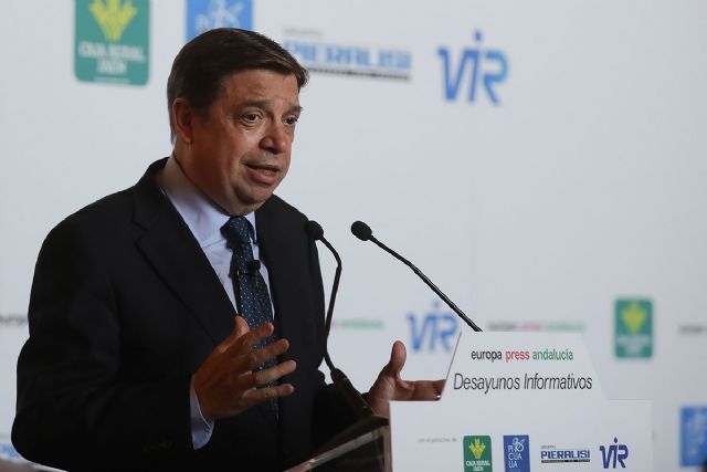 Planas: España debe ejercer su liderazgo mundial en el sector del aceite de oliva para garantizar su futuro - 1, Foto 1