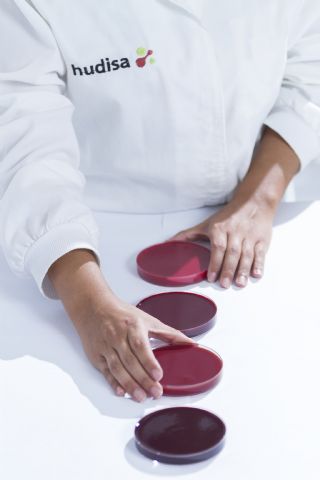 Hudisa supera así las auditorias más exigentes para garantizar la seguridad alimentaria - 1, Foto 1