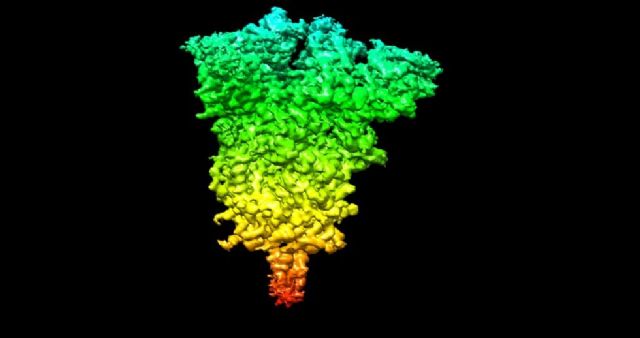 CNB utiliza la experiencia de Atos en supercomputación para descubrir cómo inicia la infección el Covid-19 - 1, Foto 1