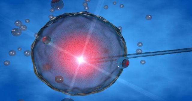 Las incertidumbres en torno a la COVID-19 aconsejan tomar medidas para preservar la fertilidad - 1, Foto 1