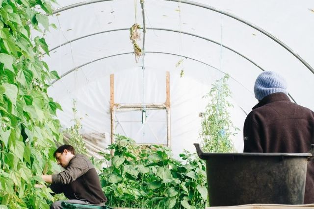 ​El Gobierno presenta a las comunidades autónomas una guía de recomendaciones para minimizar el riesgo de transmisión de la COVID-19 entre temporeros - 1, Foto 1