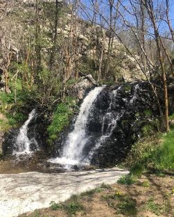 La ruta de las Fonts de Llívia, uno de los principales reclamos turísticos del municipio pirenaico - 1, Foto 1