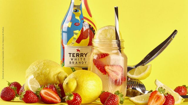 Cócteles homemade perfectos para momentos especiales con Terry White Brandy - 1, Foto 1