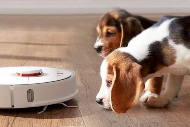 Comparativa robot aspirador se posiciona como una web esencial para la compra de robots aspiradores - 1, Foto 1