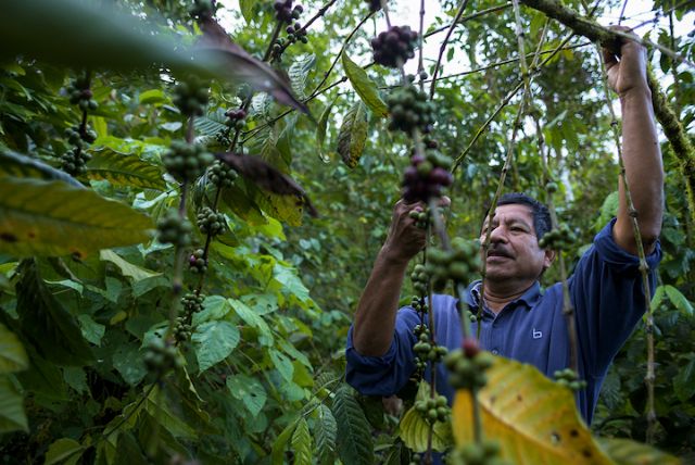 EthicHub vuelve a compensar a los usuarios que han sufrido pérdidas económicas a causa del Covid19 - 1, Foto 1