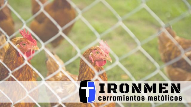 Cerramientos Ironmen: valiosos consejos para la elección correcta de las vallas metálicas - 1, Foto 1
