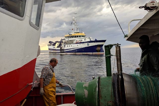España avanza en el cumplimiento de los objetivos nacionales e internacionales de conservación marina - 1, Foto 1