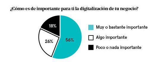 El 78% de los autónomos y pequeñas empresas españolas no saben cómo digitalizarse, según un estudio - 1, Foto 1