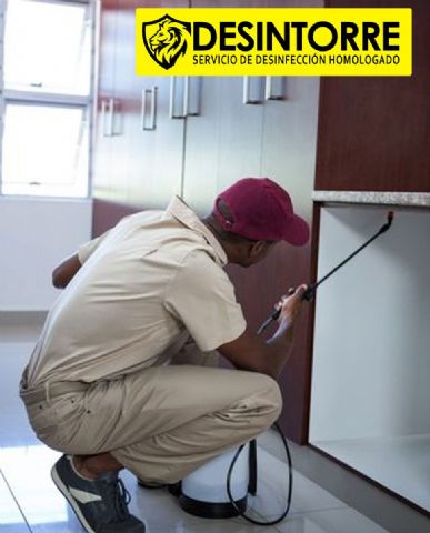 DESINTORRE: ¿Cómo luchar contra la aparición de las plagas? - 1, Foto 1