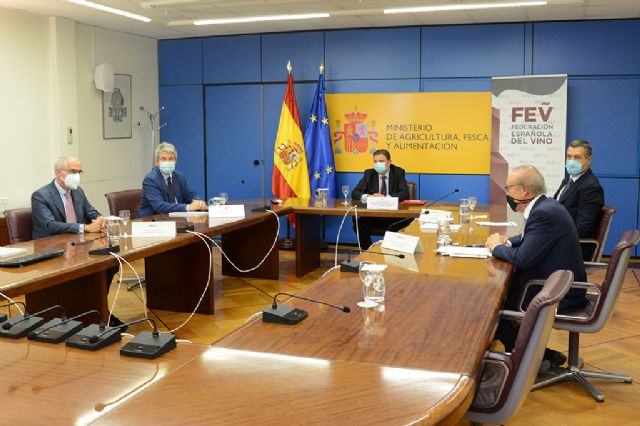 Luis Planas destaca la madurez y profesionalidad del sector vitivinícola para aprovechar las oportunidades de futuro - 1, Foto 1