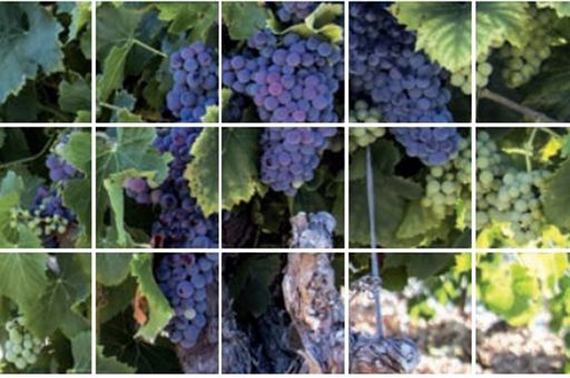 Ministerio de Agricultura, Pesca y Alimentación, Foto 1