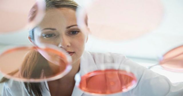 Atos nº 1 de EMEA en Servicios Gestionados e Infraestructura de la Nube en Atención Sanitaria por Gartner - 1, Foto 1