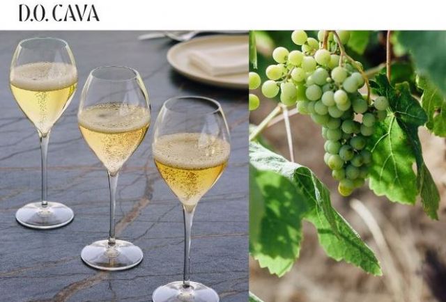 Luis Planas valora el paso adelante emprendido por la DOP Cava en su apuesta por la diferenciación y la creación de valor - 1, Foto 1