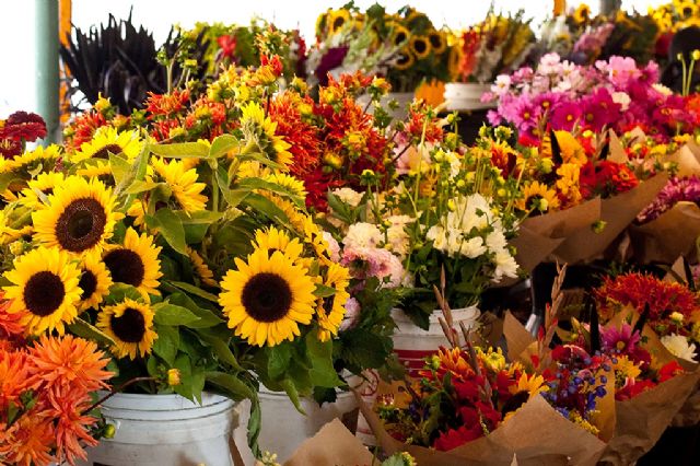 La campaña El motivo eres tú anima a desestacionalizar el consumo de flores y plantas ornamentales - 1, Foto 1