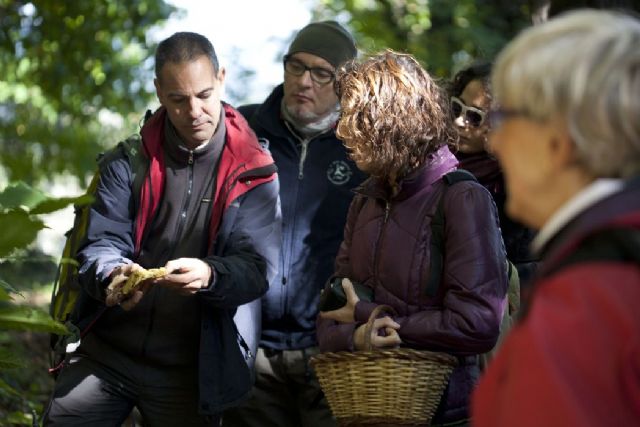 El hotel Casa AnaMaria organiza diversas actividades durante las fiestas de Navidad - 1, Foto 1