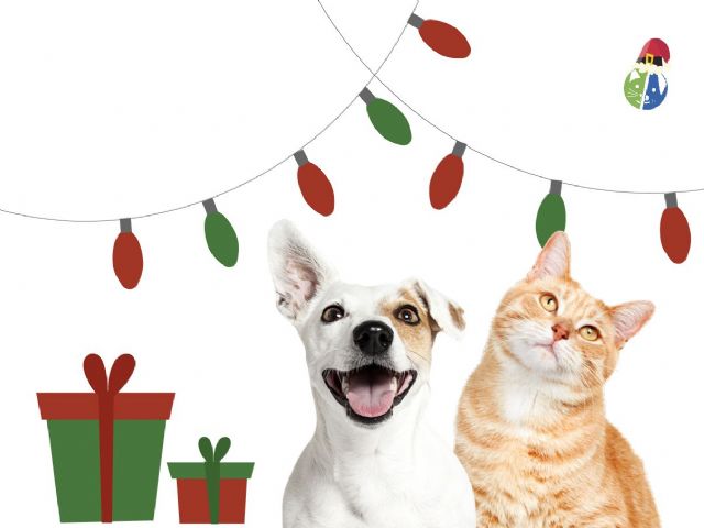 La Navidad en Mascota Planet - 1, Foto 1