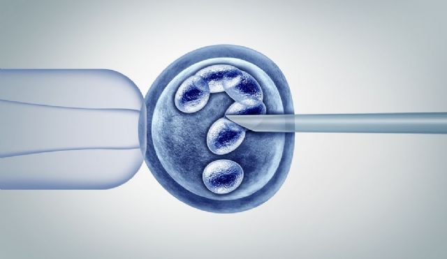 Cómo proteger los embriones en la reproducción asistida - 1, Foto 1