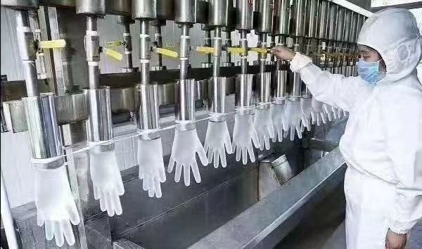 WM Group, la compañía de guantes civiles y sanitarios, expande operaciones en Fujian y Shanghai - 1, Foto 1