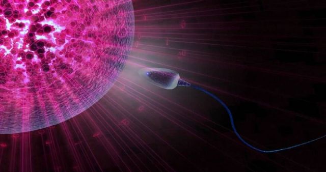 Los óvulos y los espermatozoides pueden transmitir una disposición genética al cáncer - 1, Foto 1