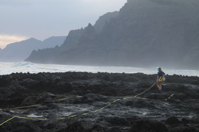 Investigadores de la ULL estudian los efectos del cambio climático en las especies costeras de Tenerife - 1, Foto 1