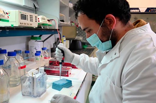 Un informe del GTM recoge las evidencias existentes en torno a la inmunidad protectora frente al COVID-19 y las posibilidades de reinfección - 1, Foto 1