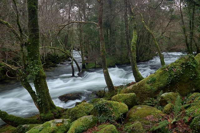 Fundación COPADE ofrece asesoramiento gratuito a las administraciones públicas para cumplir con los ODS - 1, Foto 1
