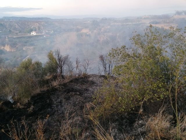 Incendio agrícola en Pliego - 1, Foto 1