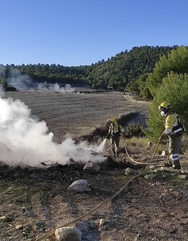 Incendio agrícola en Mula - 1, Foto 1