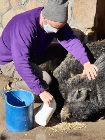 Las Granjas Escuelas de la Comunidad de Madrid (AGECAM), al borde de la quiebra por la pandemia - 1, Foto 1