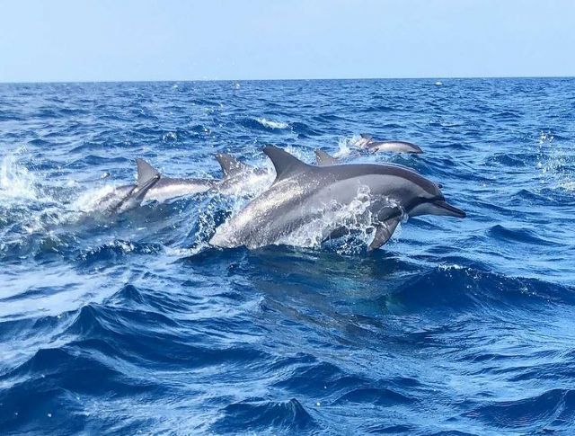 Fotgrafos de viajes, el mundo a travs de un objetivo - 6